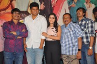 Jayammu Nischayammu Raa Movie Vijayotsava Sabha